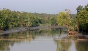 সুন্দরবন শিক্ষা সফর